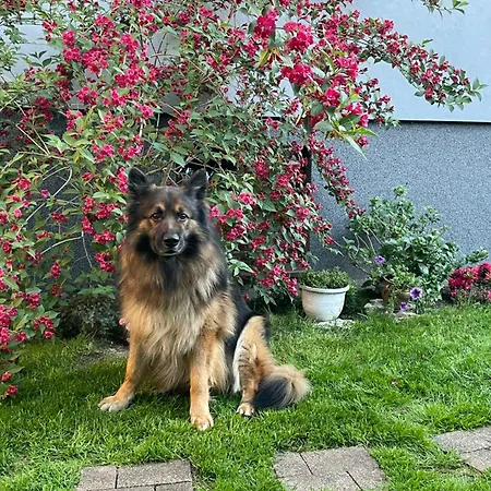 “apartcalm - Like At Home” - Close To Subway