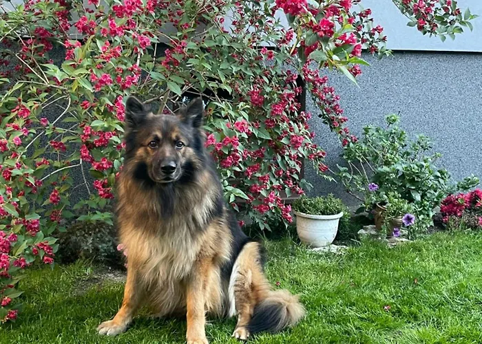 “apartcalm - Like At Home” - Close To Subway